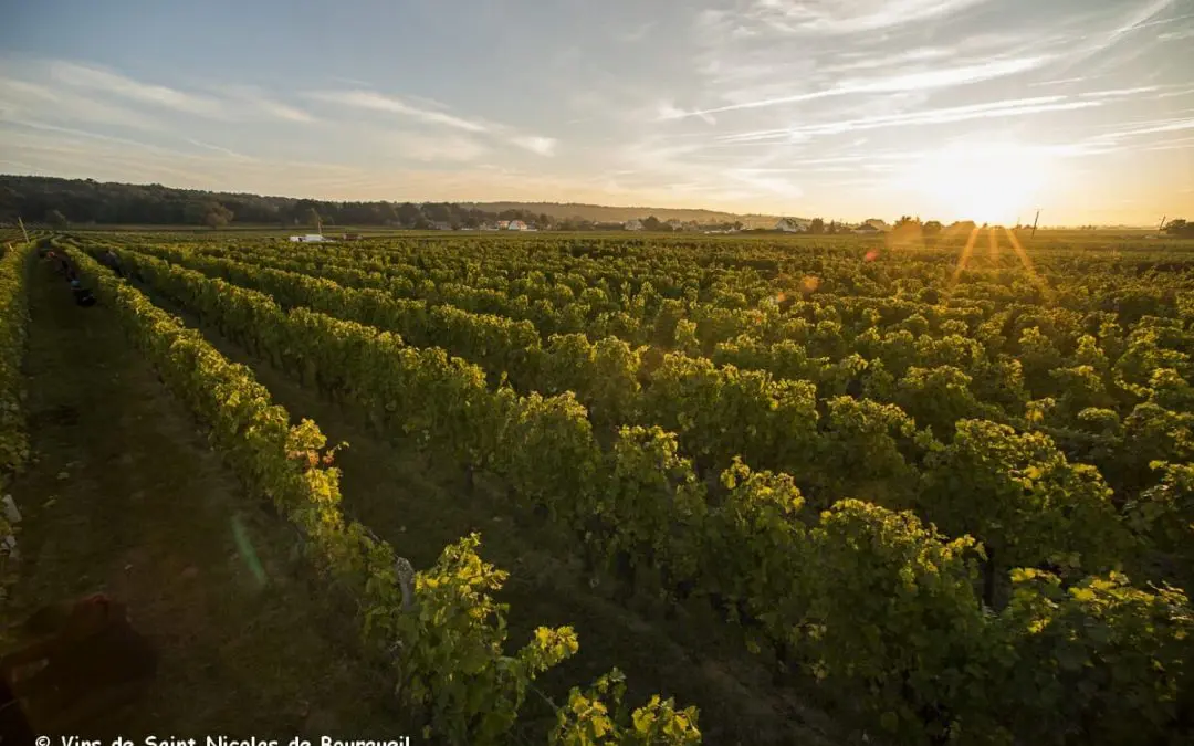 Domaine de la Baronnière