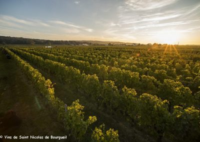 vignoble Saint Nicolas de Bourgueil | Levé de soleil sur les vendanges 2016