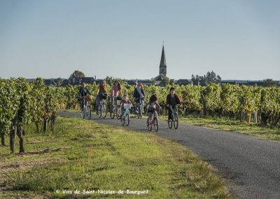 vignoble Saint Nicolas de Bourgueil |Randonnée vélo en famille dans le vignoble 
