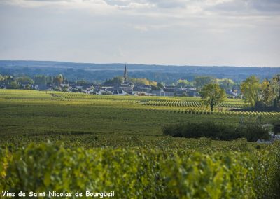 vignoble Saint Nicolas de Bourgueil | vignes et clocher juin 2016