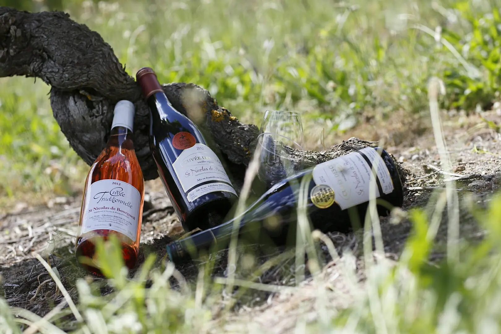 Domaine BRUNEAU Yvan Ghislaine et Damien Gamme de vins Saint Nicolas de Bourgueil