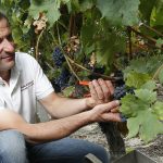 Vignoble de la Mineraie Richard RÉTHORÉ taille de vignes