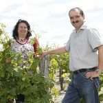 Vignoble de la rodaie Saint Nicolas de Bourgueil Christel et Claudine COUSSEAU dans les vignes