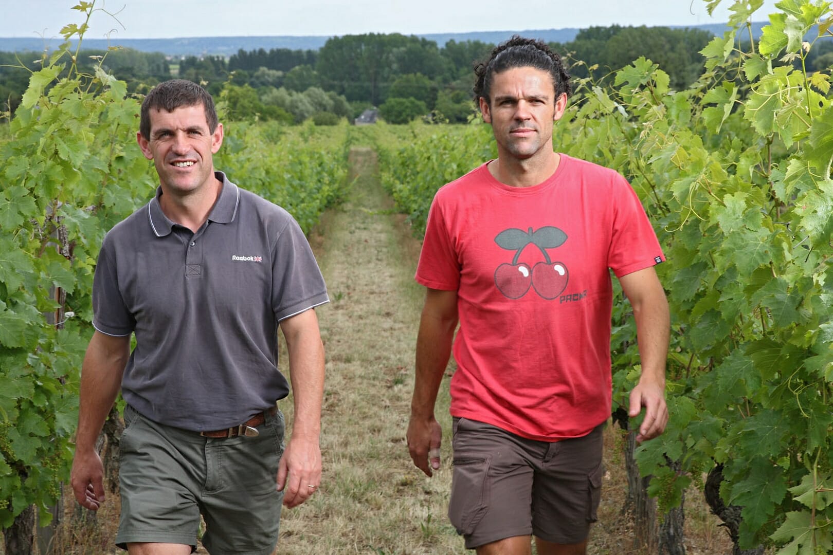 Vignobles des Robinières Bertrand et Vincent MARCHESSEAU in the vineyards